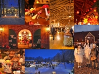 Gut Pronstorf Weihnachtsmarkt